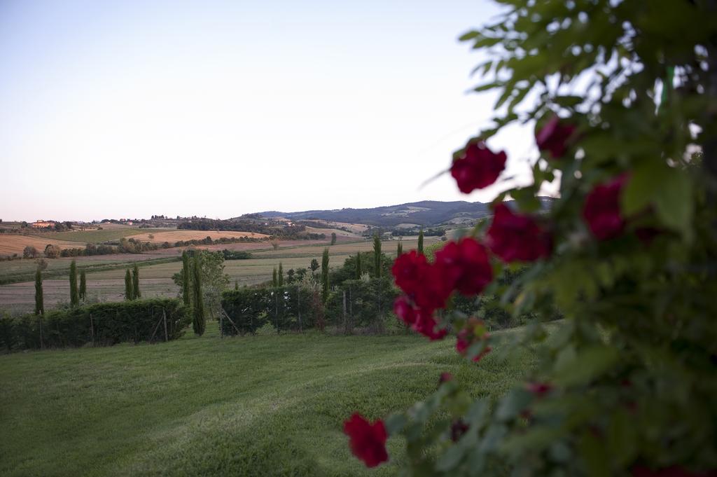 Hotel Agriturismo La Corte Dei Sogni Torrita di Siena Exterior foto