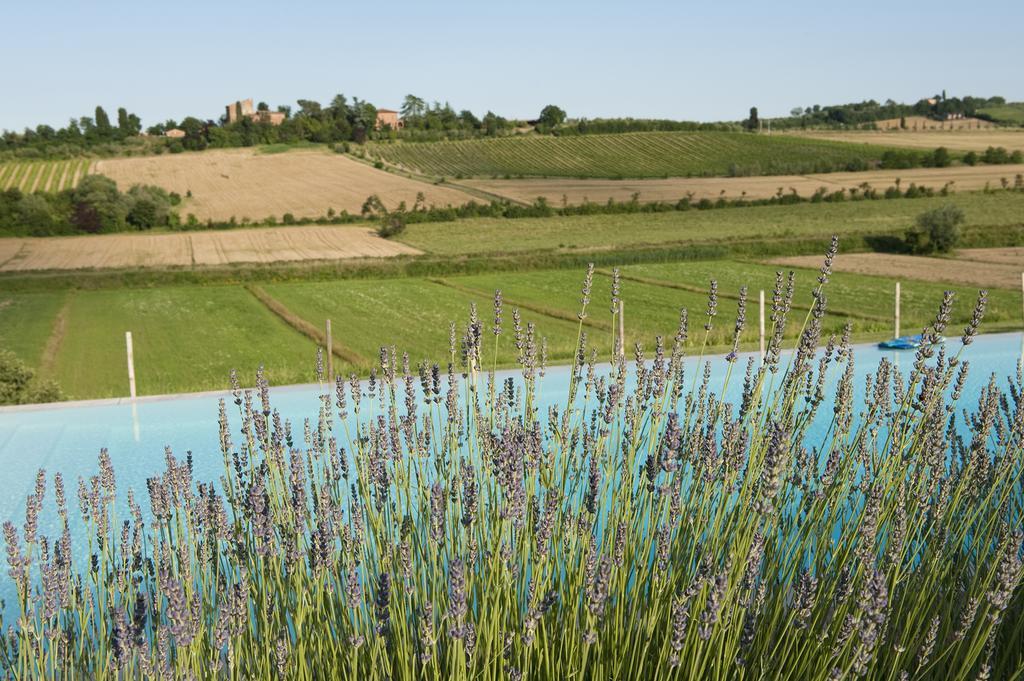 Hotel Agriturismo La Corte Dei Sogni Torrita di Siena Exterior foto